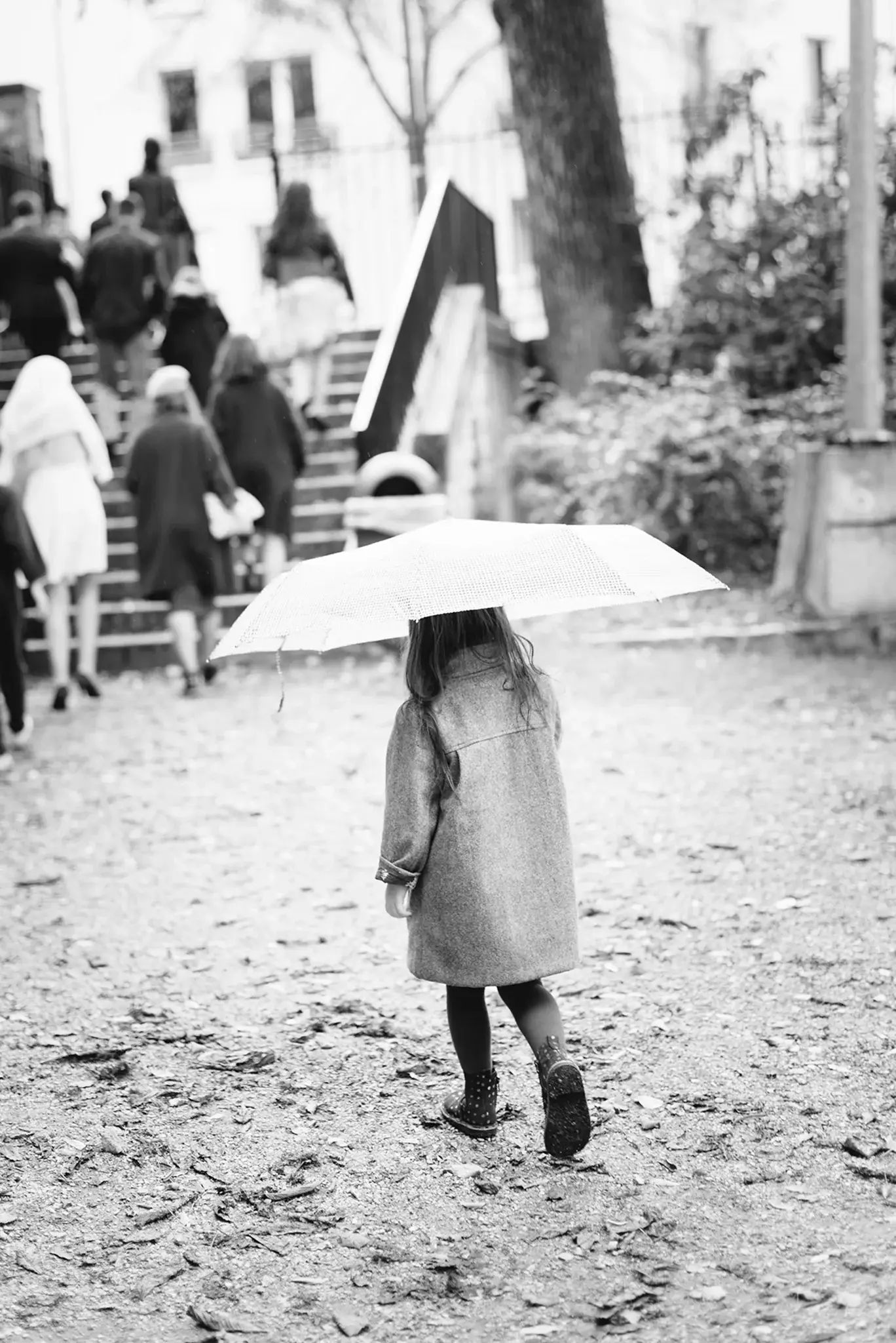 FabriceLabit PhotographeParis fl20171021 0273 HD-2
